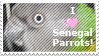 senegal_parrot_stamp_by_ebilwolf.png