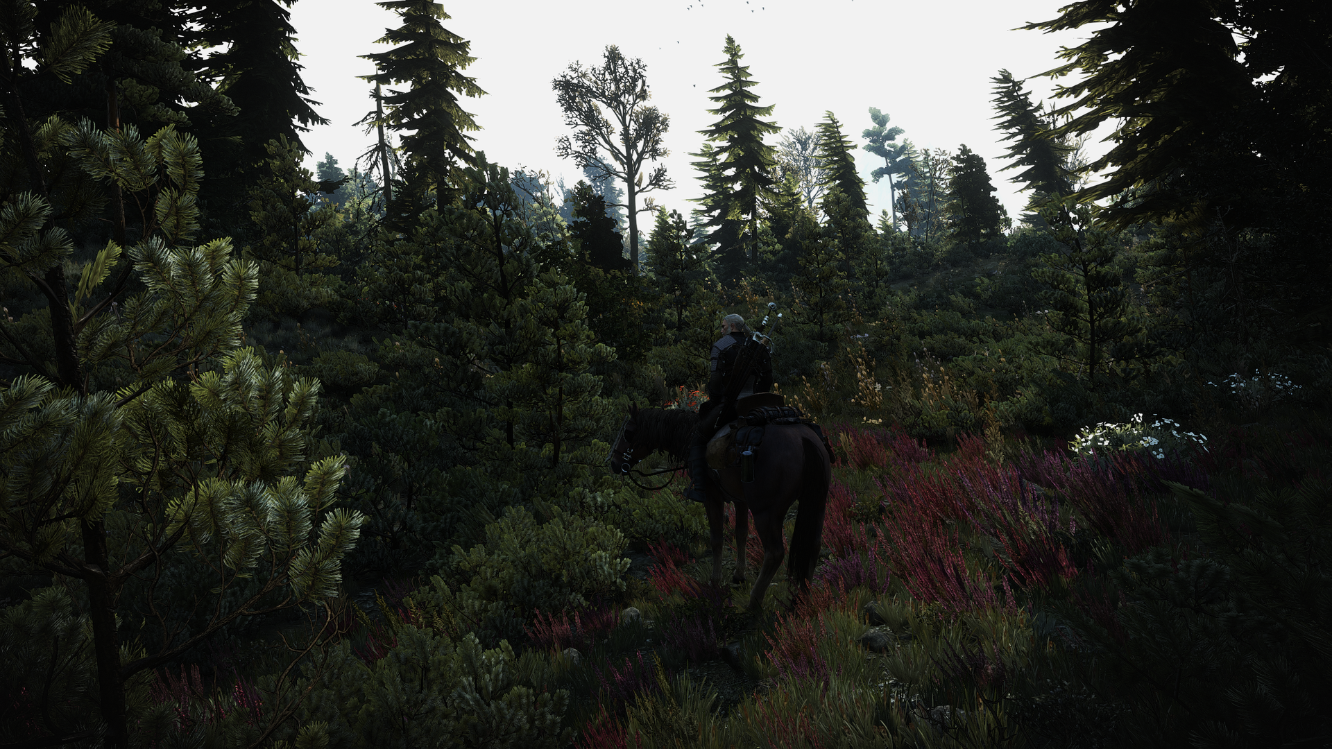 witcher3_2015_05_27_23_42_50_by_confidence_man-d8v2o9k.png