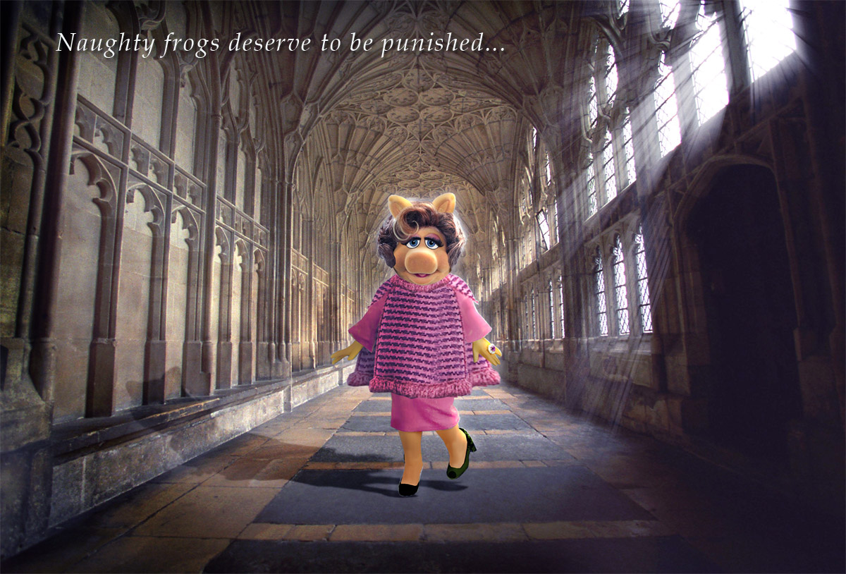MISS PIGGY - DOLORES UMBRIDGE 'MUPPET HARRY POTTER by Umbridge1986 on DeviantArt