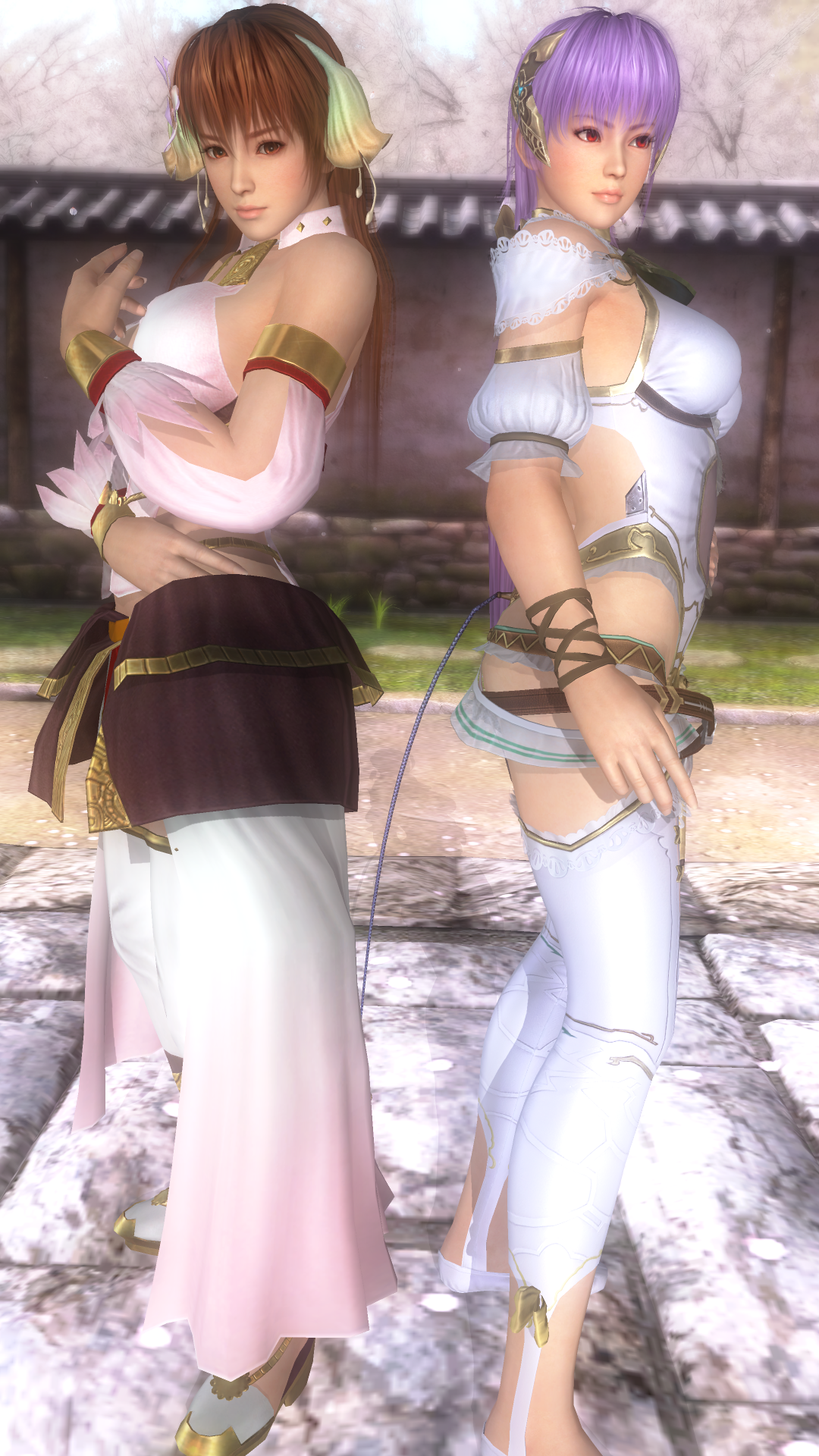 kasumi_and_ayane___ion_and_plachta__18__by_asamiya_kof-da3q0s6.png