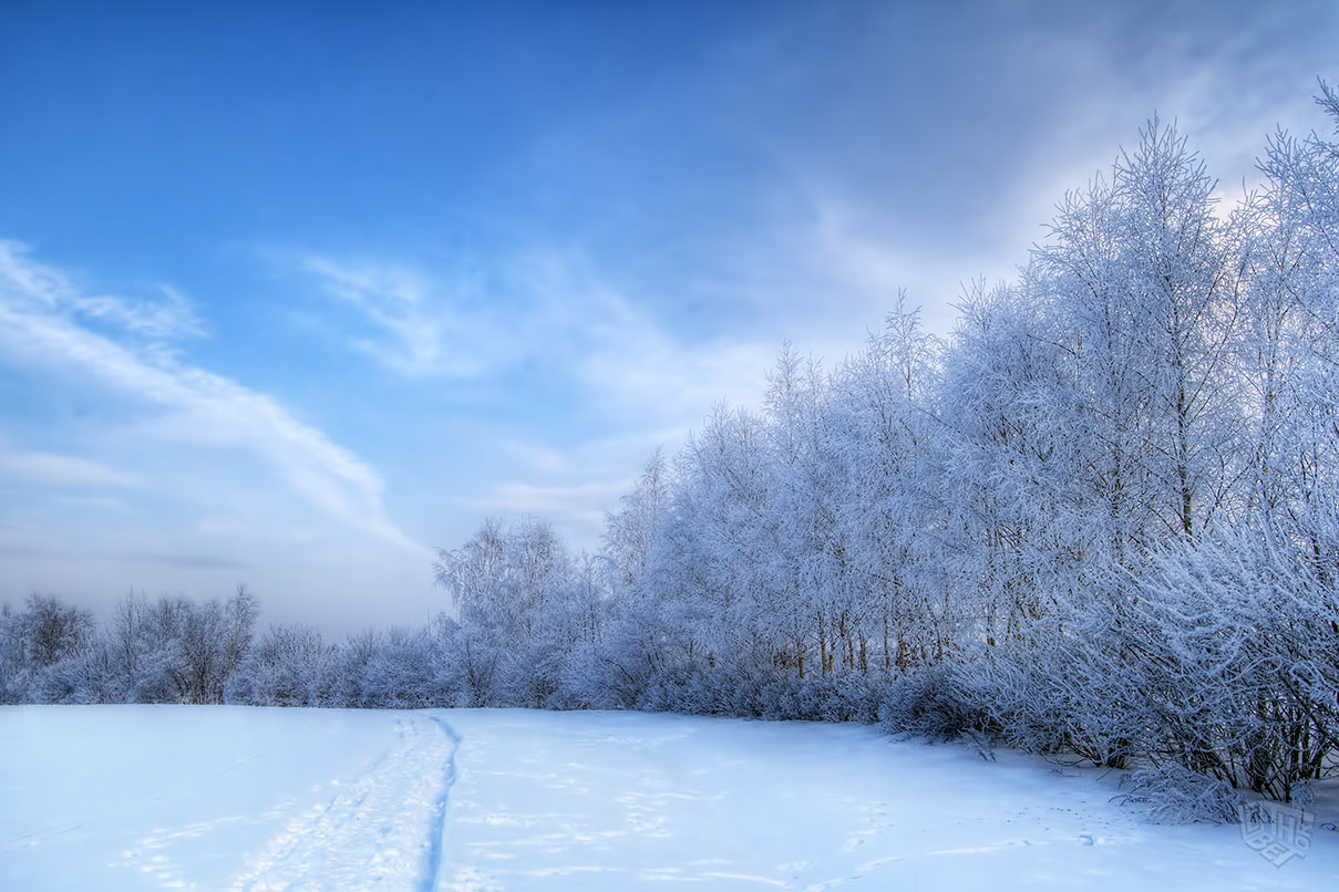 snowy_fields_by_thorbet-d36oiuz.jpg
