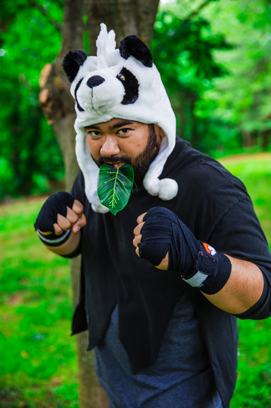 pancham_fighting_pose____by_chefblackbea