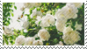 White Flower stamp by catstam