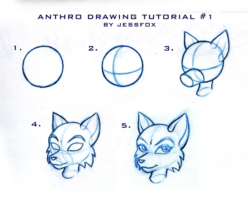 How To Draw Furries - The BodyProud Initiative