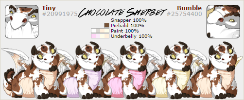 chocolate_sherbet_by_cookierebel909-dach3kf.png