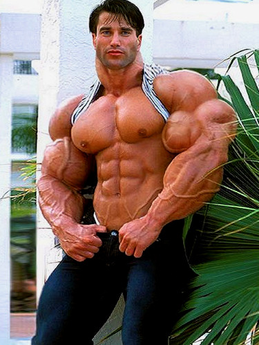 gay muscle fantasy morph