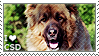 I love Caucasian Shepherd Dogs by WishmasterAlchemist