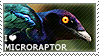 I love Microraptor by WishmasterAlchemist