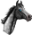 Dappled-Grey-Horse
