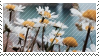 daisy stamp by catstam