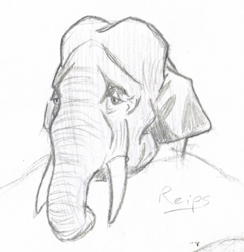 Crayon elephant
