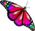 Blue butterfly3 animated 120px by EXOstock