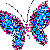 Navi butterfly