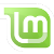 Linux Mint Icon