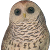 A Wise Old Owl Icon